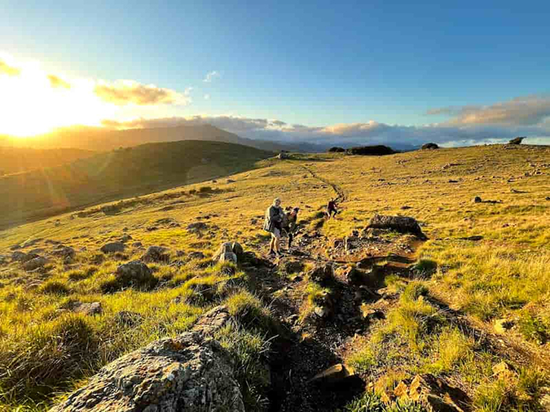Ring mountain trail in tiburon. Four digital foundry software engineers and software consultants are walking down a path on a green hillside. In the background, the sun is setting behind a hill