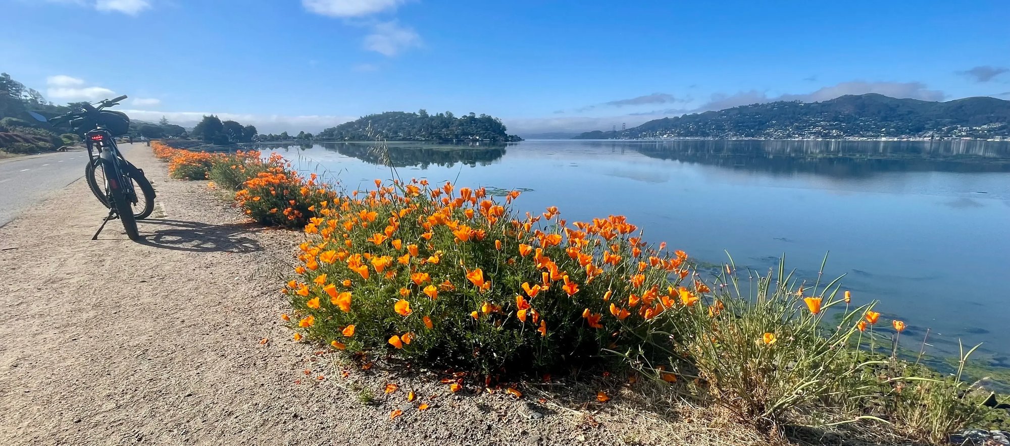 A bike alongside a waterfront bike path with california poppies, in Tiburon, California, home of Digital Foundry